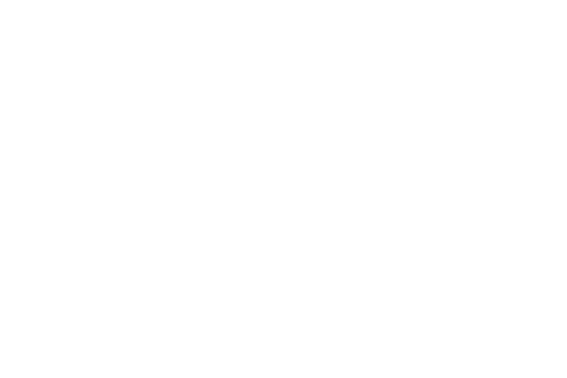 Lady of Leads - Opdrachtgever - Leadgeneratie
