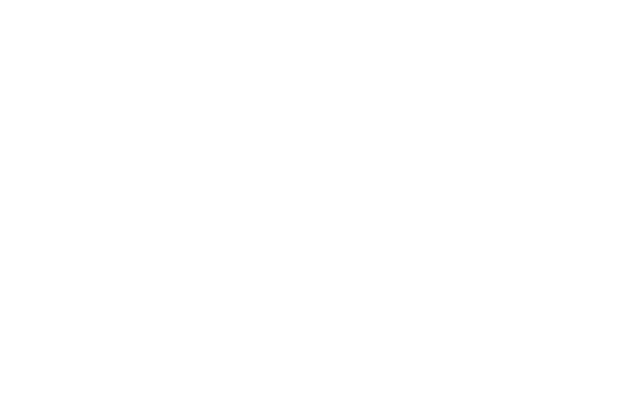 Lady of Leads - Opdrachtgever - Leadgeneratie